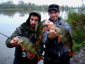 triple perches moselle        